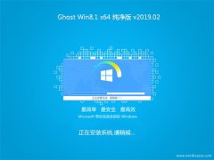 ̲ϵͳGhost Win8.1 (X64) 2019.02(⼤)