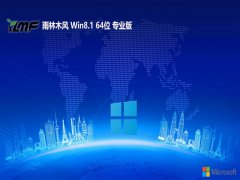 ľ⼤win8.1 64λv2024.09