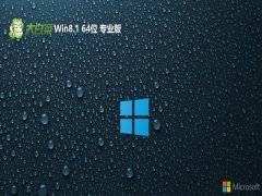 ײwin8.1 64λǿǰv2025.01